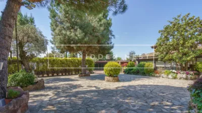 Rustic finca in Pedra Santa photo 4