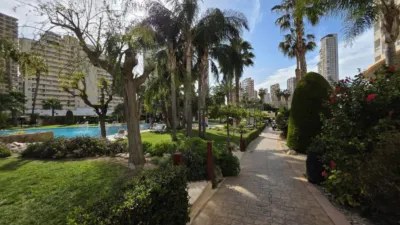 Apartment in Rincon de Loix photo 22