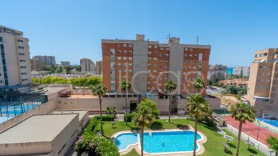 Flat on Avenida de la Condomina photo 9