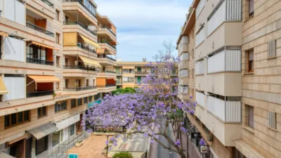 Flat on Baró de Santa Maria Street photo 3