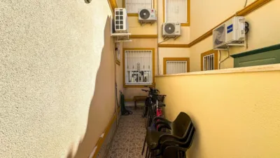 Apartment in La Chismosa photo 20