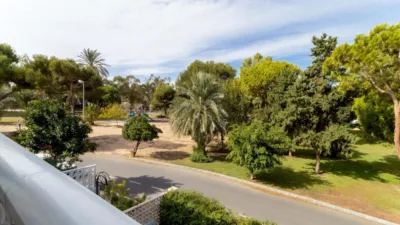 House in La Regia photo 21