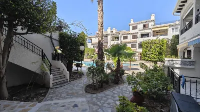 Apartment in Cabo Roig photo 14