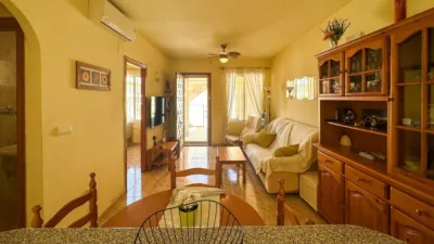 Apartment in La Chismosa photo 8