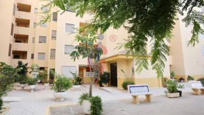 Apartment at Calle del Ingeniero Joaquín Muñoz, 5 photo 23
