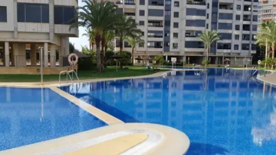 Apartment in Rincon de Loix Llano photo 26