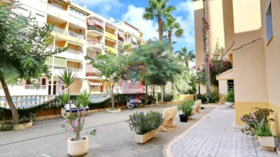 Apartment at Calle del Ingeniero Joaquín Muñoz, 5 photo 27