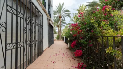 Ground floor apartment at Calle Paraje Las Palmerillas, No. 3 photo 5