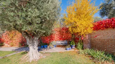 Chalet in Gójar - Gójar photo 24