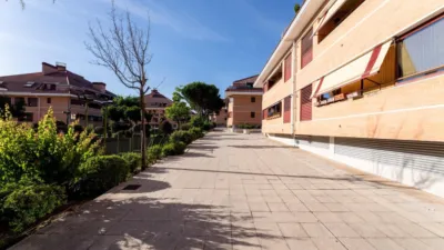 Penthouse in El Pinar - Punta Galea photo 25