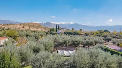 Chalet in Gójar - Gójar photo 29
