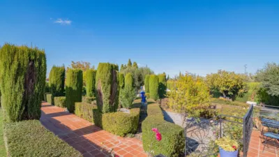 Chalet in Gójar - Gójar photo 3