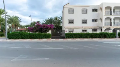 Ground floor apartment at Calle Paraje Las Palmerillas, No. 3 photo 31