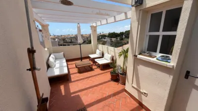 Apartment in La Chismosa photo 19