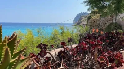 House in Cala Sant Vicenç photo 12