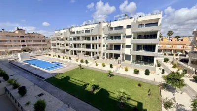 Pis – Orihuela, Villa Martín - Més