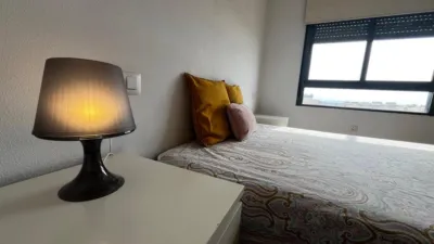 Apartment in Ronda Sur photo 14