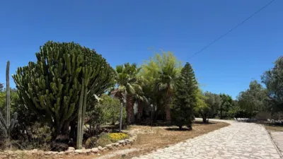 Casa – Sant Vicent del Raspeig - San Vicente del Raspeig, Les Escoles-Lo Ramos, Boqueres - Vista 5