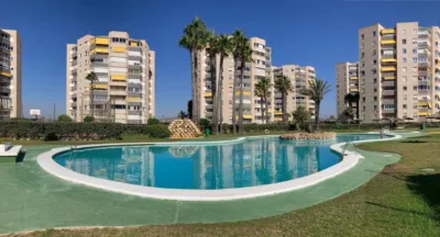 Apartment in El Palmeral-Urbanova-Tabarca photo 18