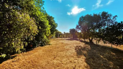 Chalet in Pago del Humo photo 75