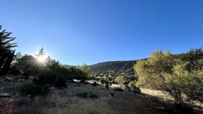 Rustic Finca in Andalucia photo 48