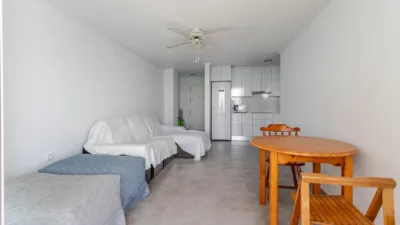 Apartment in Acequion photo 13