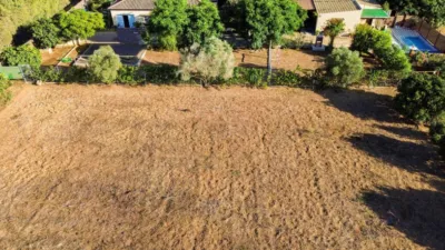 Chalet in Pago del Humo photo 4