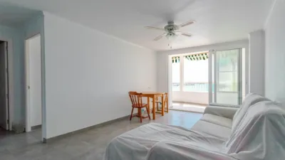 Apartment in Acequion photo 12