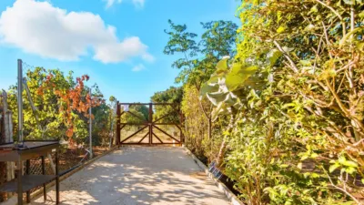 Chalet in Pago del Humo photo 73