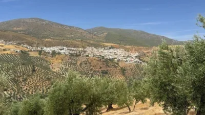 Rustic Finca in Andalucia photo 46
