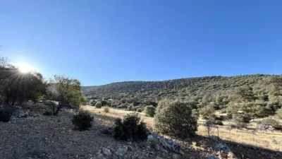 Rustic Finca in Andalucia photo 47