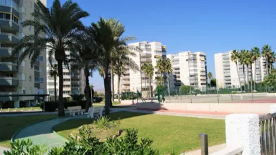 Apartment in El Palmeral-Urbanova-Tabarca photo 20