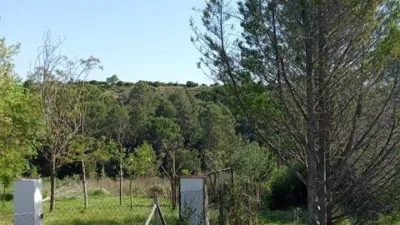 Chalet in Sant Llorenç D Hortons photo 71