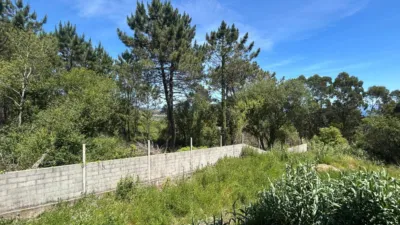 House in Ribeira photo 17