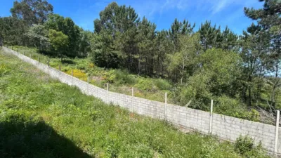 House in Ribeira photo 21