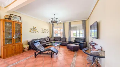 Casa – Elx - Elche - Más