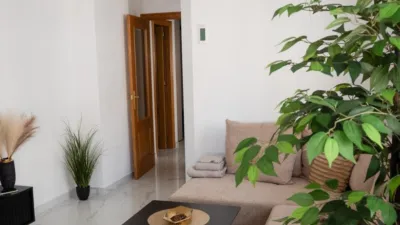 Pis – Torrevieja - Vista 5