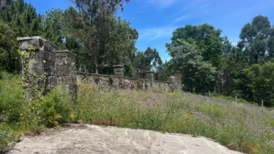 House in Ribeira photo 16