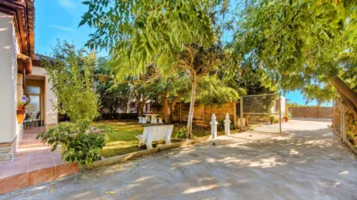 Chalet in Pago del Humo photo 7