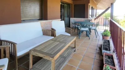 Rustic Finca on Camino de Ermita photo 19