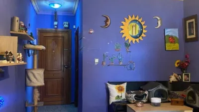 Apartment in Cantaelgallo - Chaparral photo 7