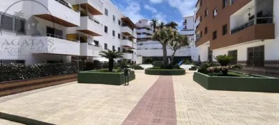 Apartment in Tenerife North photo 19