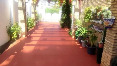 House in the Centre photo 8