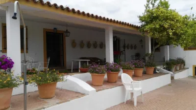 Rustic Finca in Andalucia photo 26
