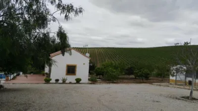 Rustic Finca in Andalucia photo 35