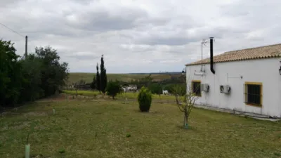 Rustic Finca in Andalucia photo 33
