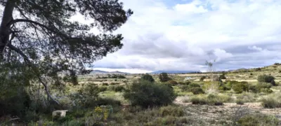 Terreno en venta en Calle Polígono 163 Paraje 416 Las Vallongas - Más