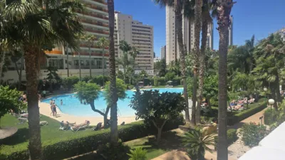 Apartment in Rincon de Loix photo 33