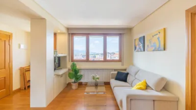 Penthouse at Plaza Felisa Munarriz, 3 photo 10
