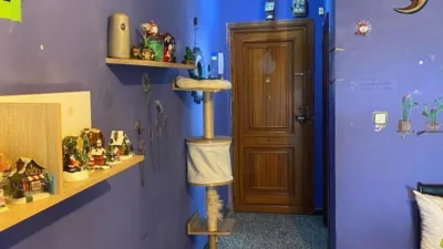 Apartment in Cantaelgallo - Chaparral photo 5